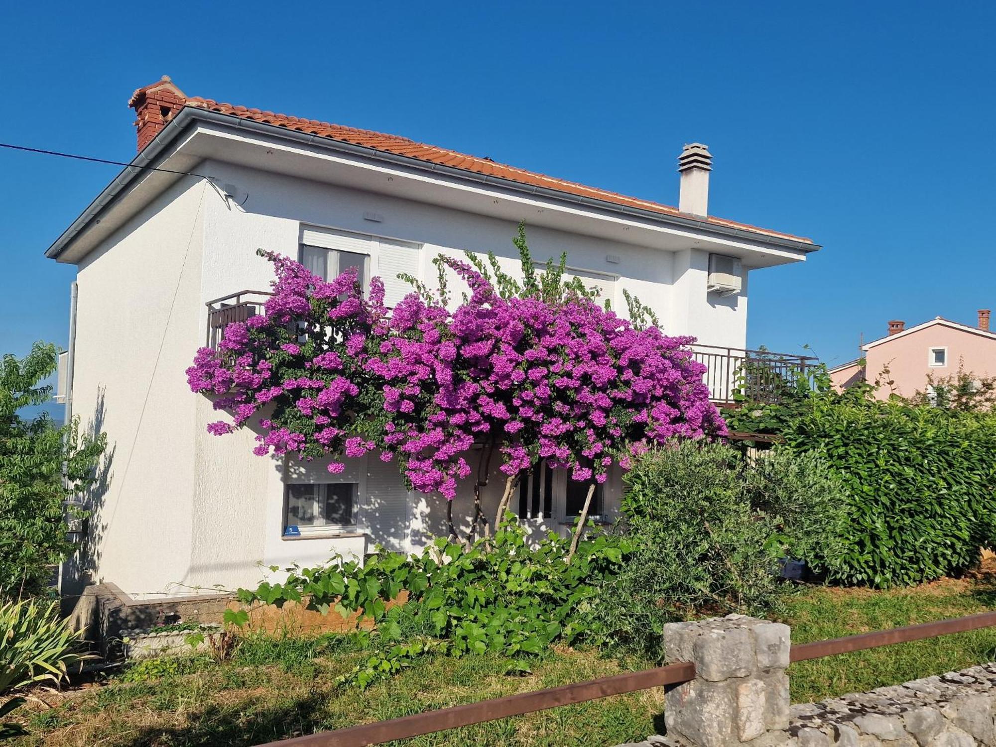 Apartment Sostaric Vrh  المظهر الخارجي الصورة
